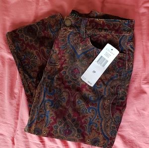 Vintage Ralph Lauren Velvet Paisley Pants
